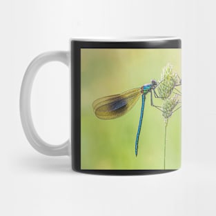 Two Male Banded Demoiselles on a Grass Stalk Mug